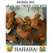 Nako nman teh | tagalog memes. Pinoy Memes Home Facebook