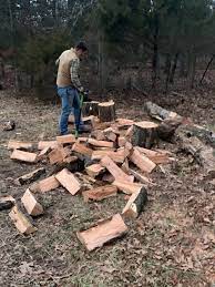 Whether you need firewood for. Missouri Man Chops Free Firewood To Keep People Warm During Winter Krcg