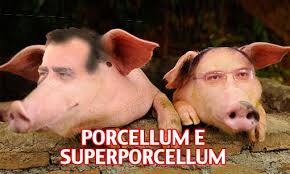 Porcellum e Superporcellum