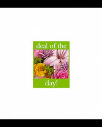Compare pay for popular roles and read. Morgan City Florist Flower Delivery By Dale S Florist Gifts Llc