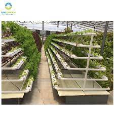 Good Quality A Type Vertical Nft Hydroponic System For Greenhouse Lettuce Buy Vertical Hydroponic Syst Hydroponics Diy Backyard Aquaponics Hydroponic Farming