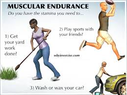 Definition Of Physical Fitness Measure Your Strength Endurance Flexibility
