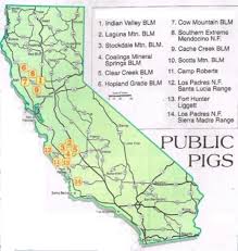Why camp on blm land? 2017 California Public Land Pig Hunting Report Plus Maps To Blm An National Forest Lands You Also Get Access To O Pig Hunting California Hunting Quail Hunting