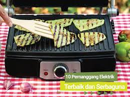Sementara itu, beberapa oven pemanggang. 10 Pemanggang Elektrik Terbaikdan Serbaguna Cekresi Com