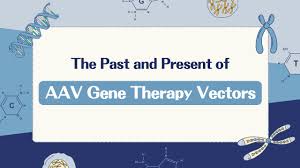 Image result for Blue 1995 AAV