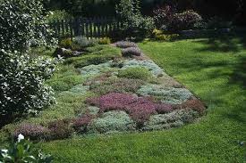 La tondeuse est expédiée fin d'année 2018. Des Plantes Couvre Sol Pour Le Soleil Jardinier Paresseux Plantes Couvre Sol Couvre Sol Thym Serpolet