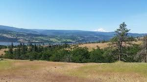 Catherine creek interpretive trail is on the right side of the road. Catherine Creek Arch Loop Washington Alltrails