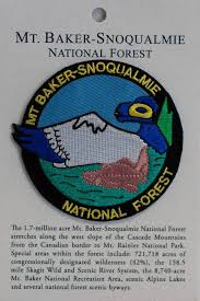 Patch Mt Baker Snoqualmie