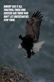 Birds Of Prey Digital Release Date Pin By Crizy Ones On Tuesday Motivation Bird Unit Study Bald Eagle Study Unit