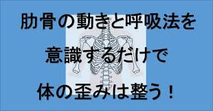 ぽっこりお腹の原因は骨盤前傾 後傾 あなたはどっちタイプ 小顔矯正 整体を東京でお探しならrevision お腹 ダイエット 弛緩 治す