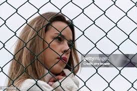 Head Of Dog Behind Fence High-Res Stock Photo