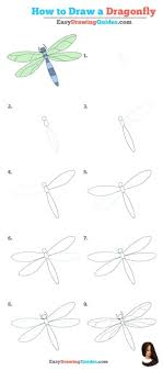 Drawing Drawing Ideas For Beginners Easy Eine Libelle Man Tutorial Wie Zeichnet How To Draw A Dra Drawing Tutorial Easy Drawing Tutorial Easy Drawings