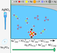 Simulate ionic bonds between a variety of metals and nonmetals. In This Chemthink Precipitates Lab Simulation You Will Explore Double Replacement Reactions And Precipitate Forma In 2021 Simulation Centennial High School Activities