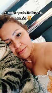 #foryoupage #viraltiktok #fyp #parati #gatostiktok #gatoamoroso♥️