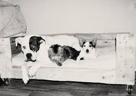 Epingle Par Roxane Henderson Sur Palettes Animaux Chien
