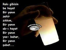 raki gibisin be hayat bir yanin zehir zikkim bir yanin ab i hayat bir yanin yaz bahar bir yanin subat sozler anlamlisozler guzelsozler manalisozl