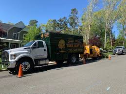 We have the professionally trained tree surgeons and arborists to provide for your needs. Toms River Tree Service Llc Home Facebook