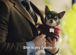 S02.E01: Me Llamo Will Trent - Will Trent - PRIMETIMER