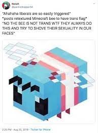 Welcome to my channel!i hope you enjoy!i post videos about gaming, trends, top 5's, call of duty, memes, skits, and muc. The Minecraft Bee Is Trans Know Your Meme