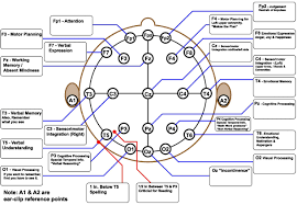 Electrode Placements And The Basic Brain Functions That Are