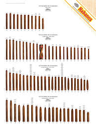 amazon com habanos cuban cigar size guide poster 4 rows