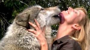 Signora si fa scopare dal cane : Compravano Cani Per Farci Sesso Smascherate Quattro Donne Prima La Martesana