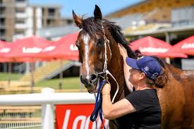 Maureen bombs away with breakthrough city winner :: Racing Queensland