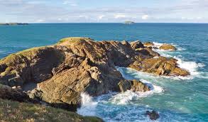 Solitary Islands Coastal Walk Nsw National Parks National Parks Whale Watching Season Coastal