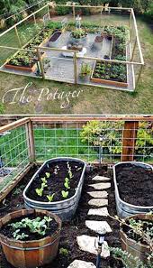 Veggie Plot Design In 2020 Home Vegetable Garden Vegetable Garden Design Backyard Vegetable Gardens