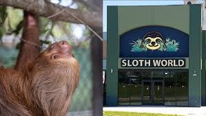 Sloth World Orlando Investigation: Accountability Sought After Multiple Sloth Deaths