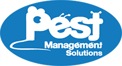 Have your home disinfected by our professional staff! Fire Ant Pest Control Greenville Spartanburg Pest Management Solutions
