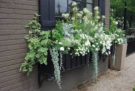 Botanic® vous propose une large sélection de produits aux matières, formes et couleurs variées pour faire fleurir vos idées. Des Idees De L Interieur Du Jardin De L Ameublement Et De La Decoration Log In Plante Pour Jardiniere Fleur Jardiniere Idees Jardin