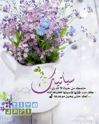 Последние твиты от suzana bremenkamp (@suzana07). ØµØ¨Ø­ Ùˆ Ù…Ø³Ø§Ø¡ On Instagram Ø³ÙŠØ£ØªÙŠÙƒ Ø­Ù„Ù…Ùƒ Ù…Ù† Ø­ÙŠØ« Ù„Ø§ ØªØ¯Ø±ÙŠ ÙƒØ¯Ø¹ÙˆØ© Ù‚Ù„ØªÙ‡Ø§ ÙˆÙ†Ø³ÙŠÙ€ØªÙ‡Ø§ ÙØ®Ø¨Ø£Ù‡Ø§ Ø§Ù„Ù„Ù‡ Ù„Ùƒ Ø­ØªÙ‰ ÙŠØ­ÙŠÙ† Ù…ÙˆØ¹Ø¯Ù‡Ø§ In 2021 Words Wallpaper Words Crown Jewelry