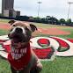 New Mexico State Aggies at Western Kentucky Hilltoppers Baseball