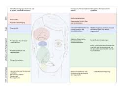 What it is and what to do about it. Therapie Der Fazialislahmung Universitatsklinikum Freiburg
