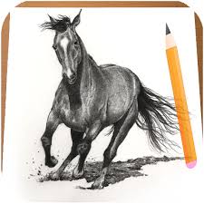 Tekeningen om na te tekenen makkelijk liefde beste 34 de beste leuke dieren tekenen voorbeeld dieren tekenen tekenen portretten tekenen from i.pinimg.com. Het Tekenen Van Paarden Apps Op Google Play