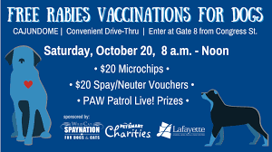 Displayed here are job ads that match your query. Lafayette Animals Shelter Providing Free Rabies Vaccinations For Dogs