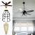 Industrial Ceiling Fan Globes