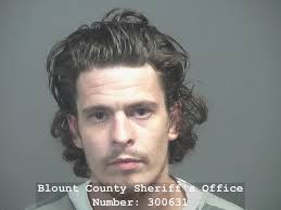 Friendsville man caught burglarizing Maryville home, police say