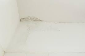 Trage im vierten schritt fliesenkleber so in den fugen auf. Regenwasser Leckt Auf Der Decke Die Schaden Fliesen Und Gipskarton Verursacht Stockbild Bild Von Hintergrund Klempnerarbeit 141271677