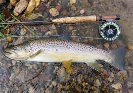 2022 Pa Trout Stocking Schedule Trout Stocking, Single Statewide Opening Day Scheduled | Pittsburgh  Post-Gazette