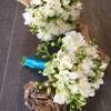 Beautiful silk bridal bouquets by the floral touch uk, we create the most beautiful silk and real touch wedding flowers at affordable prices with no compromise on quality. Https Encrypted Tbn0 Gstatic Com Images Q Tbn And9gctpel46mrcws5wqvuoz4 Poykafq9qltoimpeniggzdshdlontm Usqp Cau