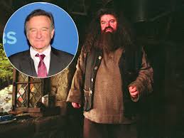 You are protected, in short, by your ability to love! Robin Williams Rejected For Hagrid Role In The Harry Potter Films
