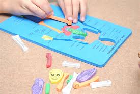There will be a pile of bones (made out of paper using a template) and they will take turns grabbing a random bone and have to place the bone in the. Human Bones Unit Study Sarah S Sweeties