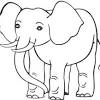 See more ideas about elephant drawing, elephant, animal drawings. 1