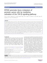 Nomenclature Key Properties And Mouse Knockout Phenotypes For The Download Table