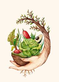 Olga Svart Illustration Healthy Food Art Food Drawing Illustration