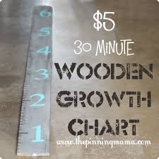 5 30 Minute Wooden Growth Chart The Pinning Mama