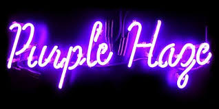 Neon Lights Tumblr Neon Signs Custom Neon Signs Purple Aesthetic