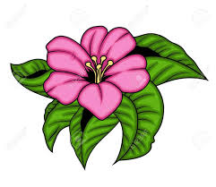 The color can last for weeks and then you find your hydrangea flowers turning green again. Pink Flower With Green Leaves Royalty Free Cliparts Vectors And Stock Illustration Image 36249113